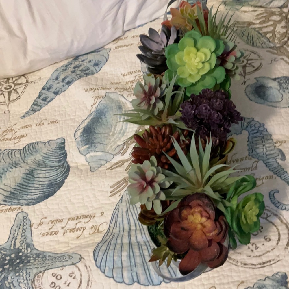 Faux House plant.